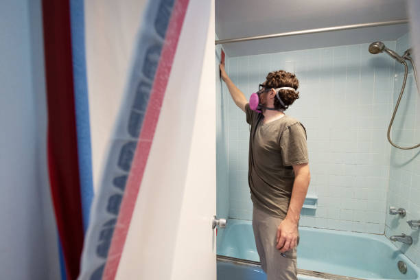 Best Airborne Mold Testing  in Shadeland, IN