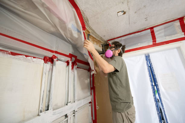 Professional Mold Removal in Shadeland, IN
