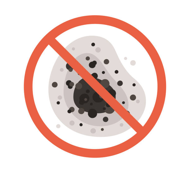 Best Commercial Mold Inspection  in Shadeland, IN