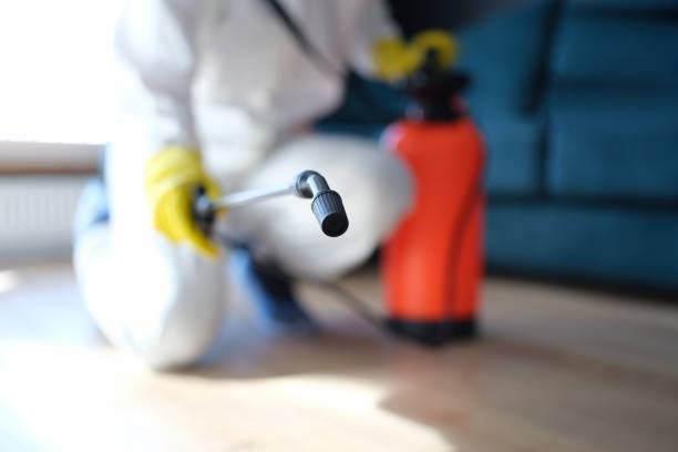 Best Comprehensive Air Testing for Mold Contaminants  in Shadeland, IN