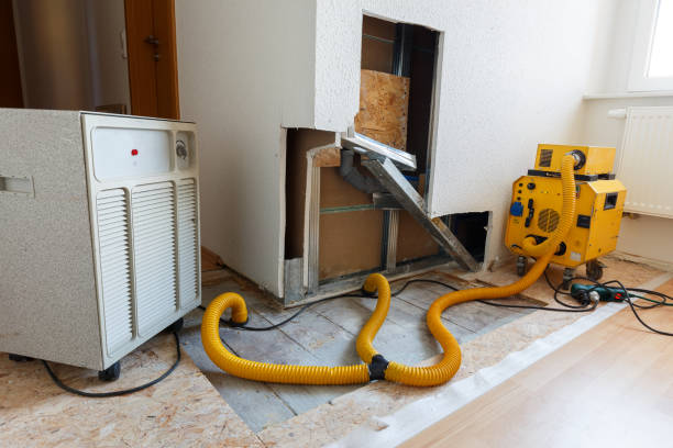 Best Air Quality Testing for Mold Spores  in Shadeland, IN
